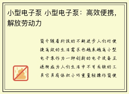 小型电子泵 小型电子泵：高效便携，解放劳动力